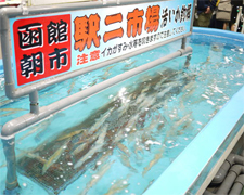 J北海道洞爺函館百萬夜景雙溫泉美食5天JX0429
