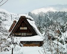J冬遊名古屋伊勢志摩御在所樹冰玩雪趣璀璨名花之里點燈5天JX8614&JX8715
