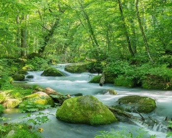 J東北奧入瀨溪溫泉美食5天M0900