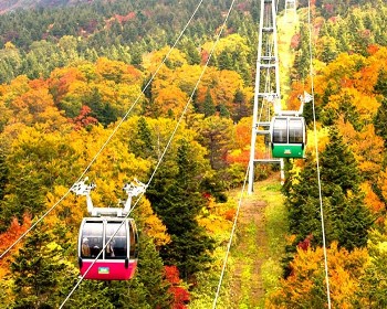 J賞楓東北～紅葉空中絕景藏王纜車世界最大百狐樂園.兩晚溫泉美食5天-TR2709