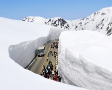 J名古屋立山動感雪牆溫泉美食5天JX531