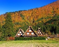 J四季絕美立山黑部+合掌村小松進出5天BR2125