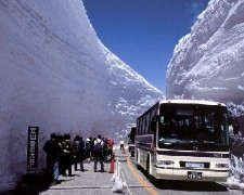 J【走進雪之奇景與童話秘境】台中神戸立山黑部雪牆國産牛燒烤放題5天JX8277