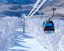 J雪花飛舞東北藏王纜車採草莓會津鐵道三晚溫泉5天JX M8000
