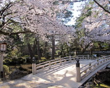 J櫻雪飛舞～東北雪之迴廊百選賞櫻溫泉5天H2689