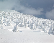J東北藏王樹冰百萬雪怪絕+秋田內陸鐵道+百選溫泉飯店5天JX2628