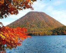 J關東賞楓半自助行東京富士山纜車輕旅遊5天JX8285