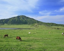 J南北九州鹿兒島宮崎溫泉美食三大蟹5天JX8661