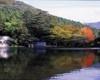 J九州自然動物園+福岡阿蘇山別府三大蟹5天BR2513(福岡/福岡)