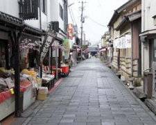 J九州自然動物園福岡阿蘇山別府三大蟹5天JX3401(福岡/福岡)