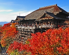 J名古屋京阪神絕美賞楓11選古都遊船國產牛饗宴5天JX8331