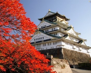 J台中神戶異國風情紅葉秘境巡禮海陸美饌5天JX8998(台中出發)JX5677