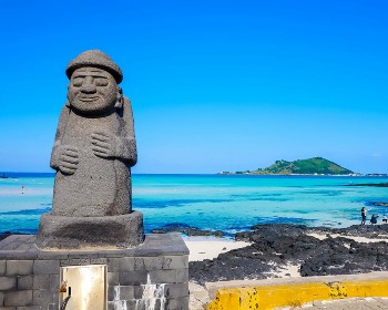 早櫻濟州～春天最美道路~鹿山路.金黃花毯山房山.全新小熊軟糖世界(一站購物彩妝)5天