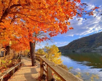 楓潮韓境·首爾秋韻～正東津站、雪嶽山國立公園、南怡島、昌德宮、首爾天空公園賞芒草、波波草(一站購物彩妝)5天