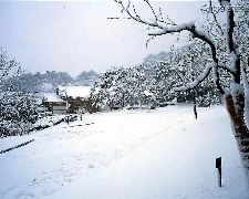 冰雪奇緣·首爾雙樂園～歡樂滑雪體驗、暢遊愛寶樂天雙樂園、浪漫星空圖書館.北村韓屋村(一站購物彩妝)5天