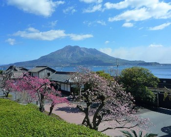2026/4/13 歌詩達郵輪莎倫娜號-佐世保、鹿兒島自主遊６天