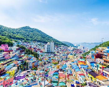 2026/7/17 MSC地中海郵輪榮耀號-釜山、福岡自主遊6天