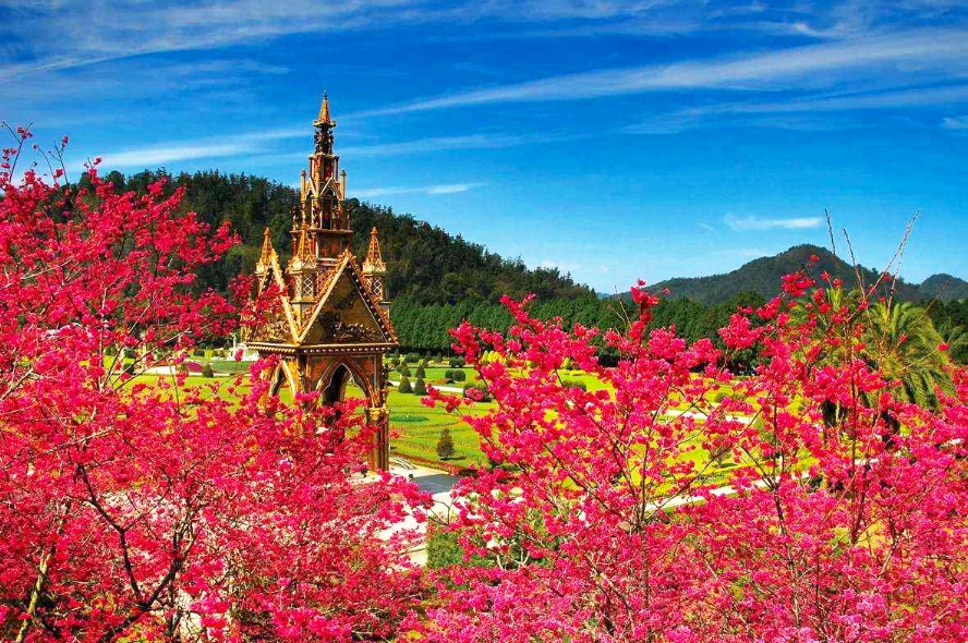 季節盛宴～九族櫻花季、日月潭纜車、遊湖2天