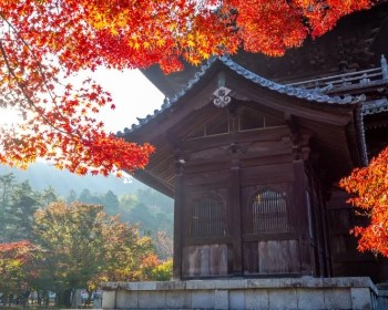 2025/11/28【維京遊輪_伊敦號】日本九州_四國秋楓絕景10天～ 瀨戶內海周防灘巡航 、楓紅永觀堂、金鯱名城、熊本八代