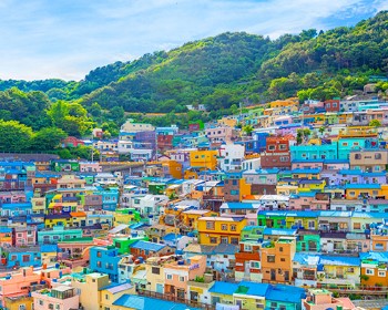 2026/02/02【維京遊輪・伊敦號】日本九州・四國悠靜慢旅８天～雅域高千穗、瀰霧別府地獄溫泉、靜謐高知竹林寺