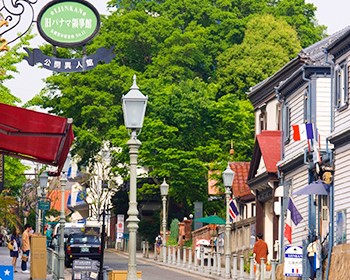 2026/03/03【維京遊輪・伊敦號】日本九州・四國初春花現１０天～殿鵜戶神宮、松山城、門司港、麗水梧桐島山茶花