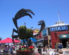 《玩美加族》～臥谷長榮美西9天-SFO/LAX