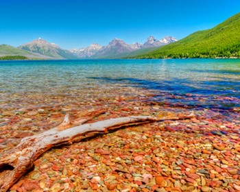 黃石公園4大總統14天