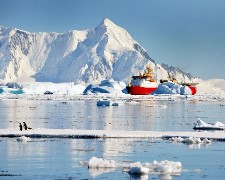 航向極地!麥哲倫探險號x南極大冒險14天