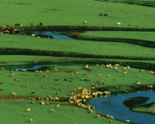 巔峰北疆・綠野峻嶺～喀納斯湖・禾木村・賽里木湖・巴音布魯克・喀拉峻草原・三排椅13天