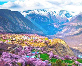 【★優旅獎】「世界屋脊」西藏14天-林芝波密桃花節.日喀則.然烏湖.納木措.珠峰大本營
