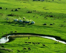 內蒙古希拉穆仁大草原、沙漠迪士尼響沙灣蒙亮民族風情園、老牛灣黃河大峽谷、成吉思汗陵 8天
