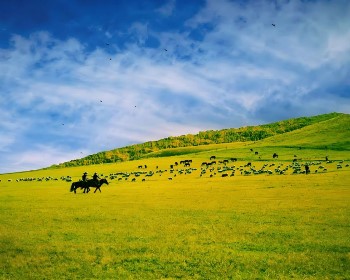奔馳大草原、 壩上風光~北京·木蘭圍場·避暑山莊·金山嶺長城·烏蘭布統草原越野車·宣化古城8天
