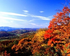 【別有楓趣】夜宿三古鎮 外灘下午茶 江南 6 天潮樂之城、烏鎮西柵、 蕩口古鎮、上海必吃 蟹黃麵