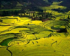 昆大麗 瀘沽湖 東川紅土地普者黑 元陽梯田 羅平油菜花15天-自由行