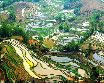 雲南東川紅土地.陸良彩色沙林.羅平九龍瀑布.元陽梯田.建水燕子洞8天