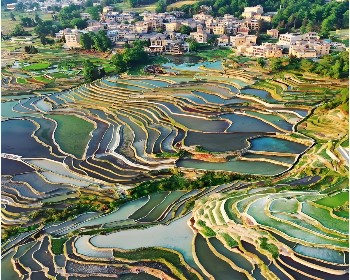 東川紅土地 普者黑 壩美世外桃源 元陽梯田 羅平油菜花12天