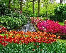 荷蘭鬱金香與柏林、漢堡、ICE、童話大道10天(阿姆斯特丹)