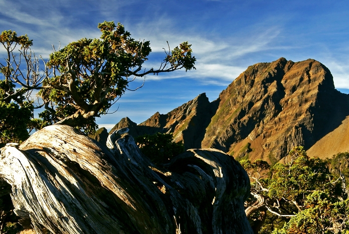 【玉山】6,099起 五星耐斯王子高鐵特富野古道嘉義2天遊 8/6,26、9/14,28、10/12,26