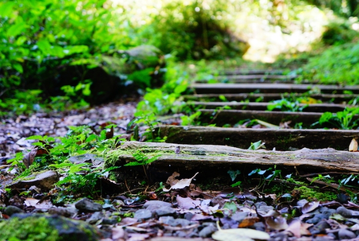 【玉山】4,699起 探索玉山秘境&東埔溫泉森呼吸3天遊 8/16,30、9/13,27、10/11,25