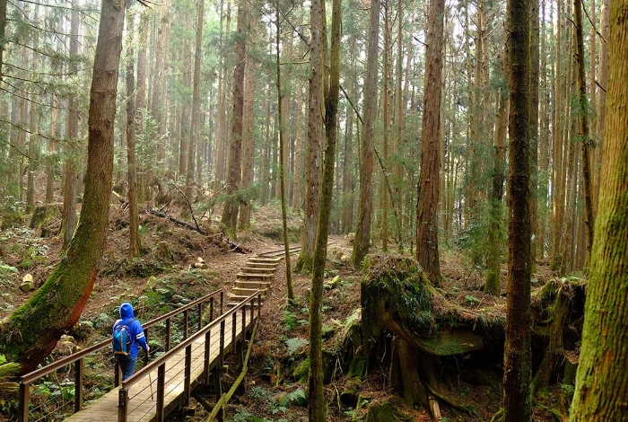 【玉山】7,399起 玉山秘境東埔溫泉森林芬多精耐斯王子3天遊 8/16,30、9/13,27、10/11,25
