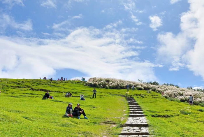 【台北】美麗台灣系列 ~ 台北陽明山、大稻埕、觀光巴士、春天溫泉酒店2天